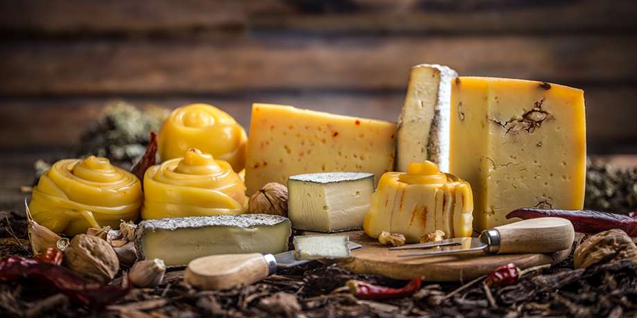 Best Dishes with Cheese for People with Diabetes – Everything You Need to Know