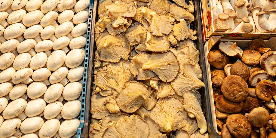 Best Dishes with Mushrooms for People with Diabetes – Everything You Need to Know