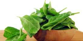 Best Dishes with Spinach for People with Diabetes – Everything You Need to Know