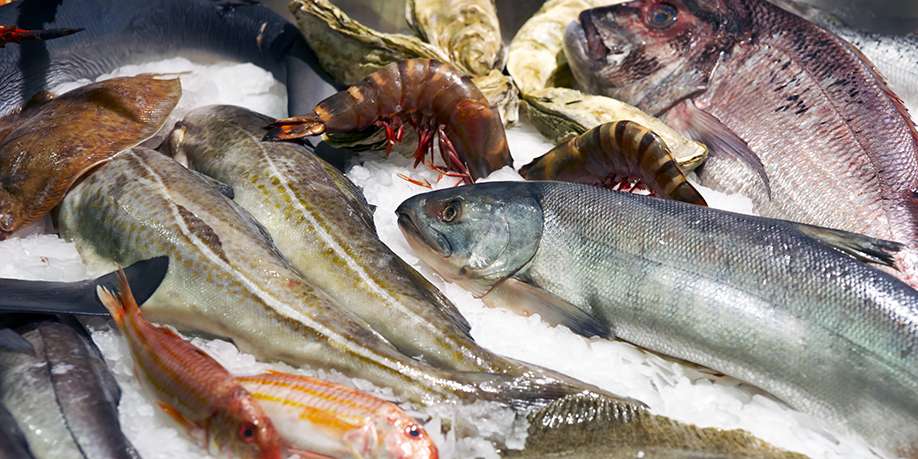 Best Fish for People with Diabetes – Everything You Need to Know