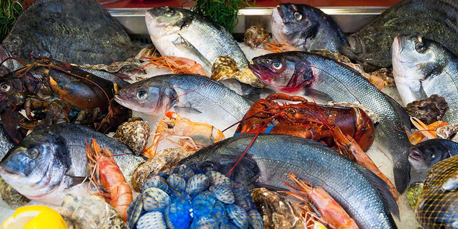 Best Seafood for People with Diabetes – Everything You Need to Know!